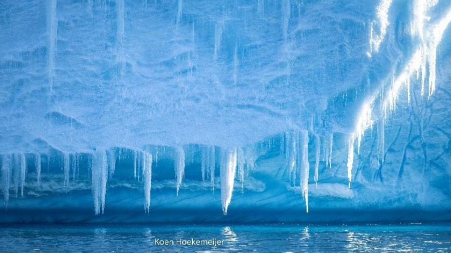 PLA23-23, Day 15, Icecles © Koen Hoekemeijer - Oceanwide Expeditions.jpg