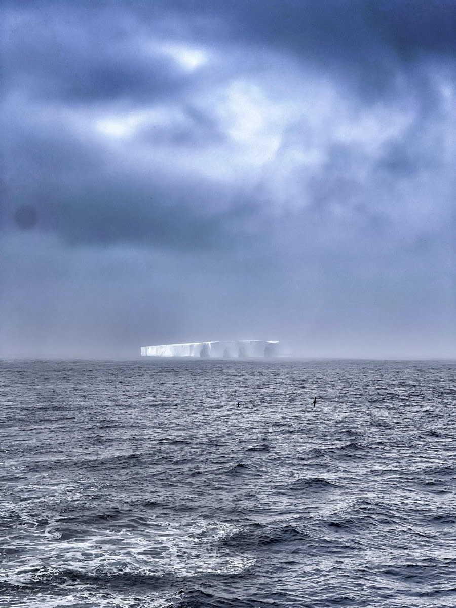 OTL24-23, Day 3, Iceberg © Andrea Schwetz - Oceanwide Expeditions.jpg