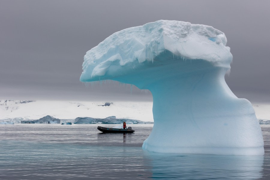 OTL24-23, Day 5, Zodiac 3 © Unknown photographer - Oceanwide Expeditions.jpg