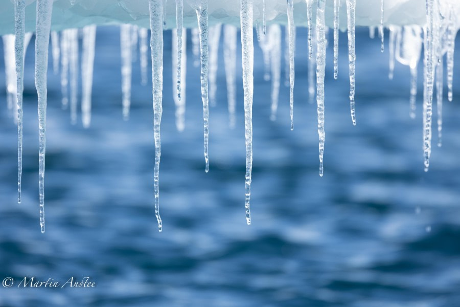 OTL24-23, Day 6, icicles 2 © Martin Anstee Photography - Oceanwide Expeditions.jpg