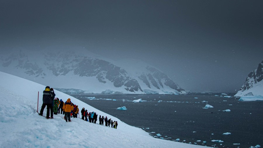 HDS24-23, Day 6, LYR_0483 © Alexander Romanovskiy - Oceanwide Expeditions.jpg