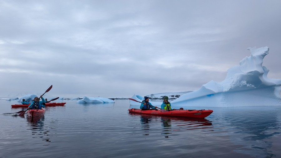 OTL25-24, Day 5, Kayaking © Zet Freiburghaus - Oceanwide Expeditions.jpg