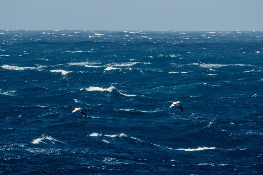 Drake Passage