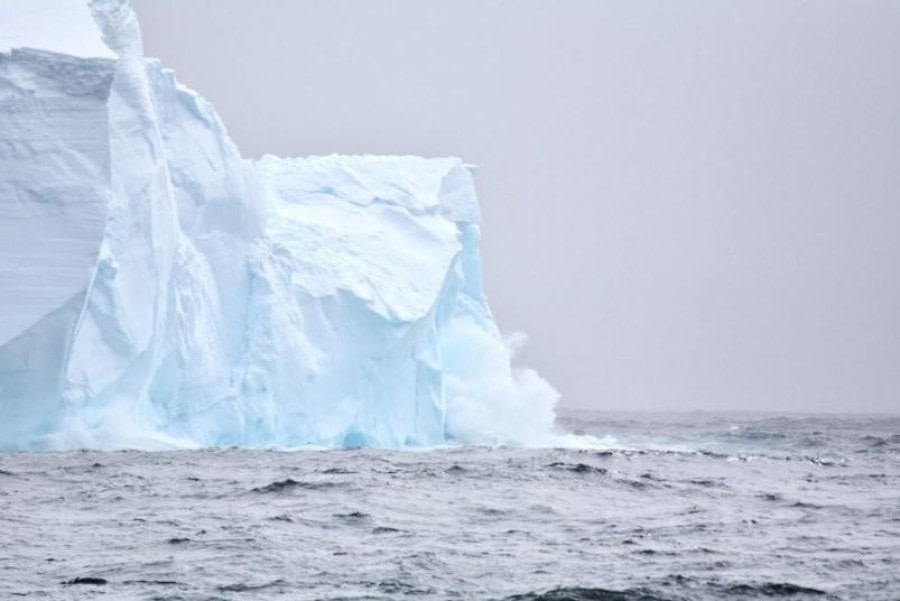 PLA24-23, Day 3, Iceberg © Unknown photographer - Oceanwide Expeditions.jpg