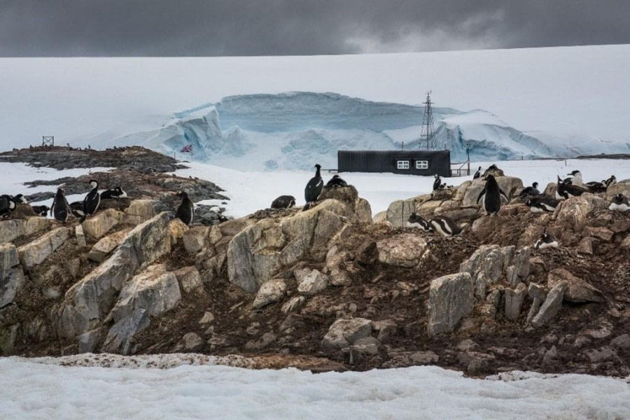 Aguirre Channel and Jougla Point (Port Lockroy)