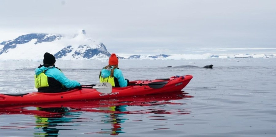 PLA24-23, Day 6, Kayaking © Unknown photographer - Oceanwide Expeditions.jpg