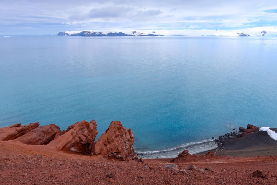 HDS25-24, Day 13, PenguinIsland_FelicityJ-2 © Felicity Johnson - Oceanwide Expeditions.jpg