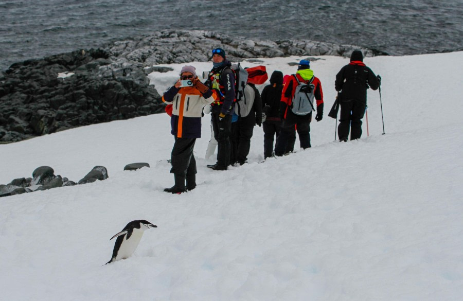 HDS25-24, Day 14, Palavar_FelicityJ-2 © Felicity Johnson - Oceanwide Expeditions.jpg