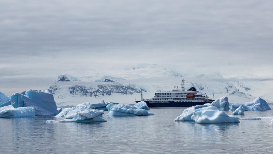 HDS25-24, Day 15, Cuverville Island 1 © Sara Jenner - Oceanwide Expeditions.jpg