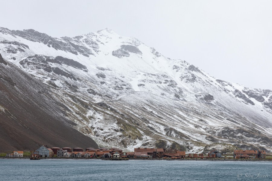 Husvik Harbour and Leith Harbour, South Georgia