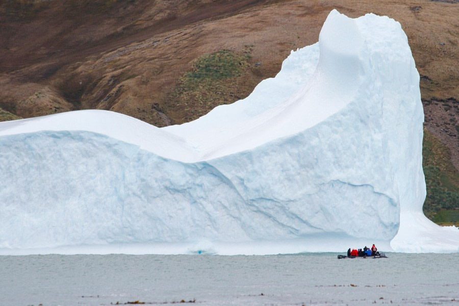 HDS25-24, Day 9, FelicityJ_Fortuna-2 © Felicity Johnson - Oceanwide Expeditions.jpg