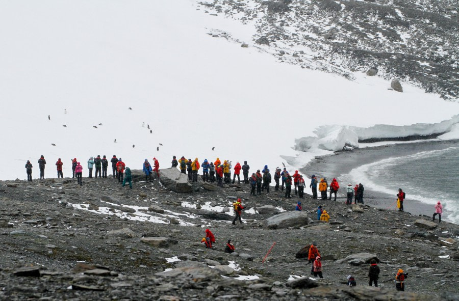 HDS25-24, Day 11, FelicityJ_ShingleCove-13 © Felicity Johnson - Oceanwide Expeditions.jpg