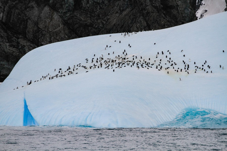 At Sea, sailing to Elephant Island, South Shetland Islands