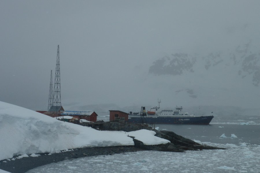 Cuverville Island and Brown Station