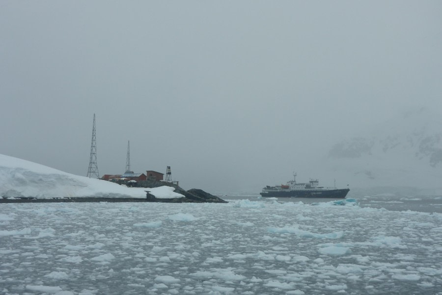 PLA26-24, Day 4, P1000918 © Owain Jones - Oceanwide Expeditions.JPG