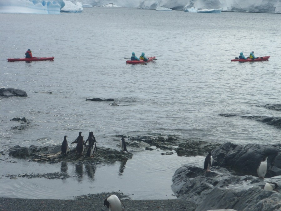 PLA26-24, Day 8, Kopaitic kayaking © Unknown photographer - Oceanwide Expeditions.JPG