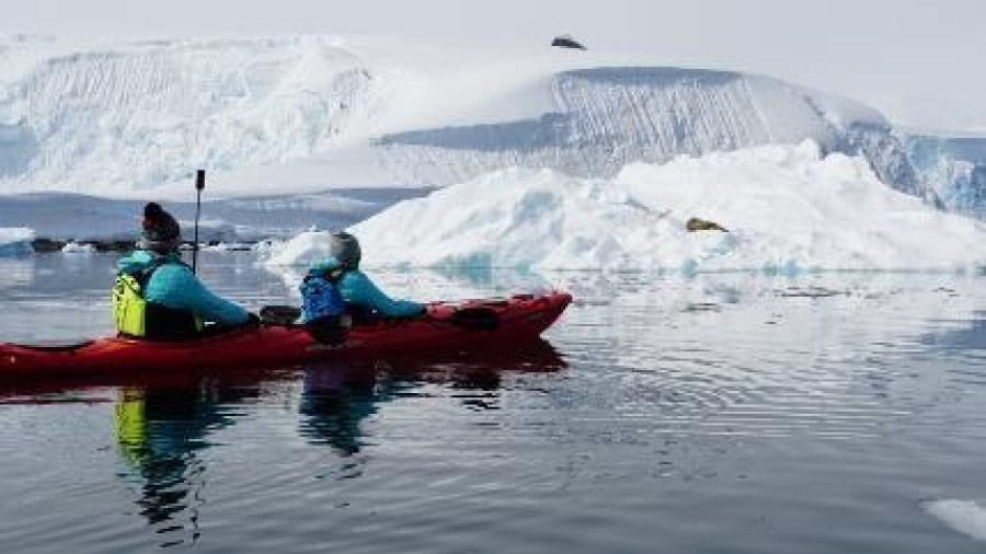 PLA25-24, Day 4, Kayaking © Unknown photographer - Oceanwide Expeditions.jpg