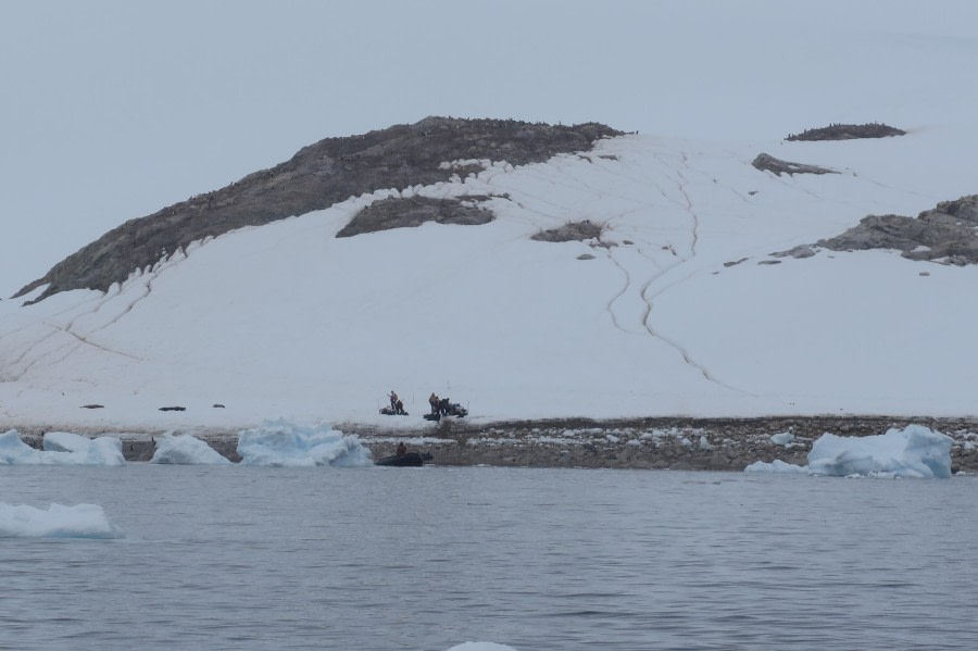 PLA25-24, Day 4, Neko Harbor © David McKinley - Oceanwide Expeditions.JPG