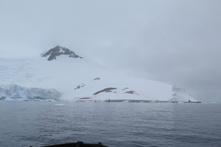 PLA25-24, Day 4, Neko Harbor 2 © David McKinley - Oceanwide Expeditions.JPG