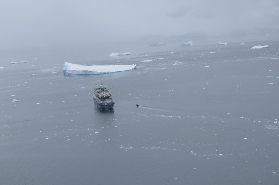 PLA25-24, Day 4, Plancius © David McKinley - Oceanwide Expeditions.JPG