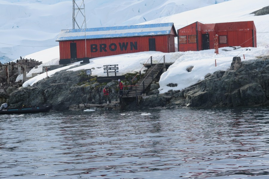 PLA25-24, Day 5, Brown Station 4 © David McKinley - Oceanwide Expeditions.JPG