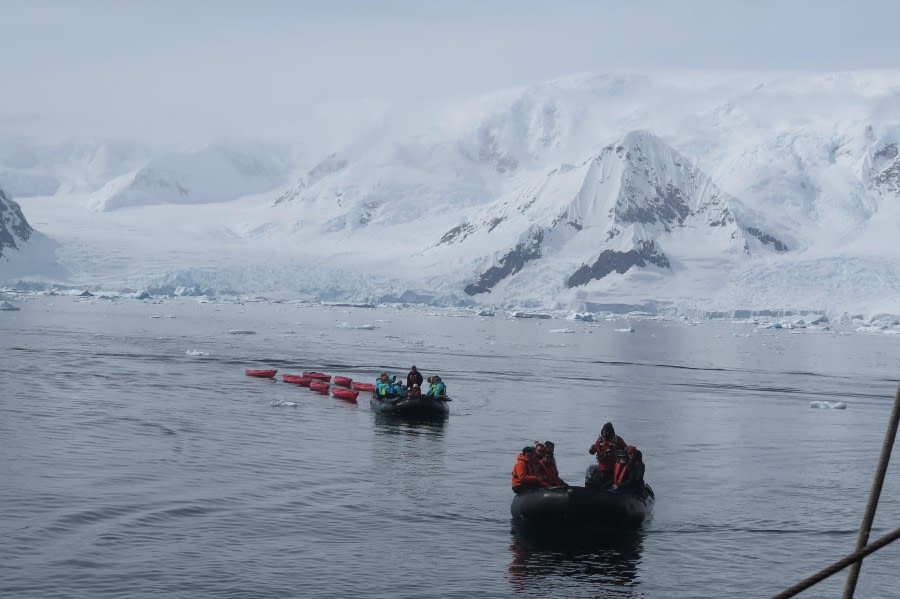 PLA25-24, Day 5, Kayaking © David McKinley - Oceanwide Expeditions.JPG