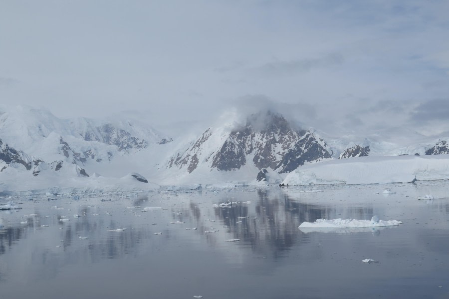 PLA25-24, Day 5, Paradise Bay © David McKinley - Oceanwide Expeditions.JPG