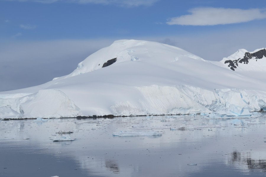 PLA25-24, Day 5, Paradise Bay 2 © David McKinley - Oceanwide Expeditions.JPG