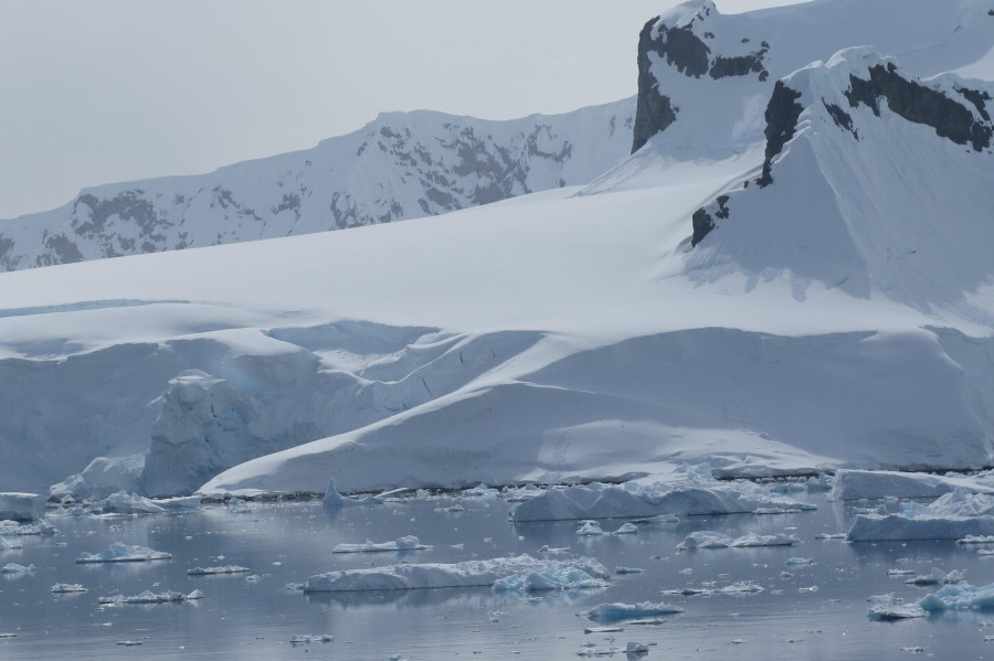 PLA25-24, Day 5, Paradise Bay 11 © David McKinley - Oceanwide Expeditions.JPG