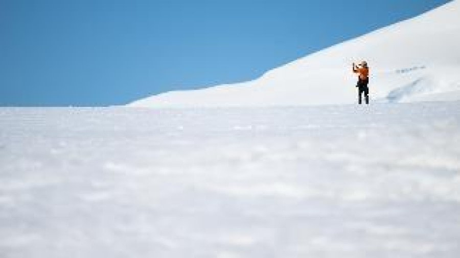 PLA25-24, Day 7, Damoy Point 13 © Unknown photographer - Oceanwide Expeditions.jpg