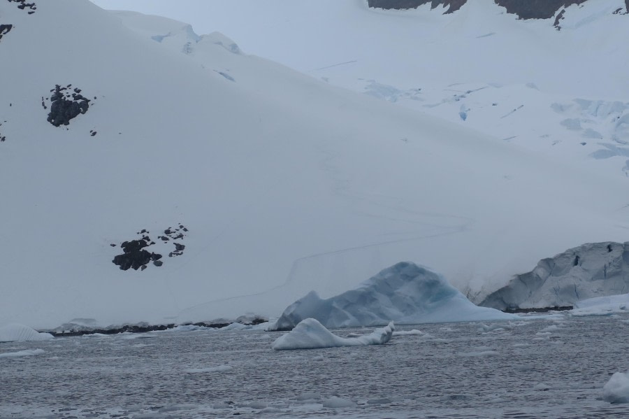 PLA25-24, Day 7, Opposite Pedermann © David McKinley - Oceanwide Expeditions.JPG