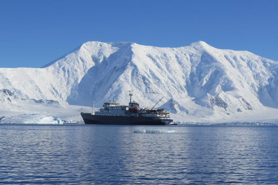 PLA25-24, Day 7, Plancius in Damoy Bay © David McKinley - Oceanwide Expeditions.JPG