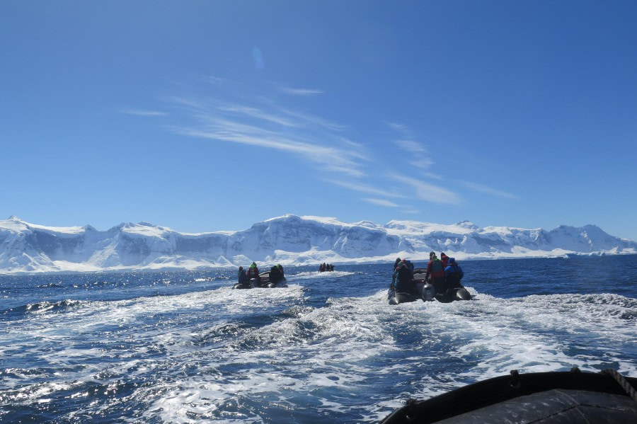 PLA25-24, Day 7, Zodiac cruising © David McKinley - Oceanwide Expeditions.JPG