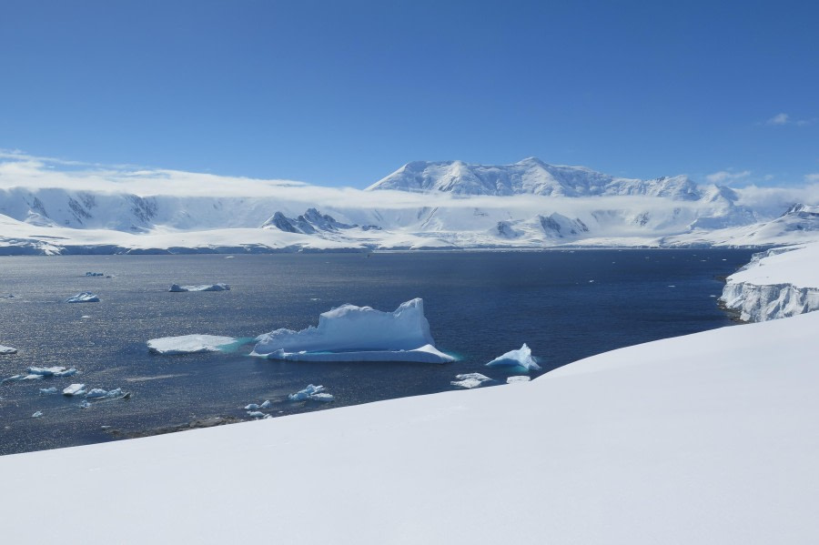 PLA25-24, Day 8,  Jabet Col © David McKinley - Oceanwide Expeditions.JPG