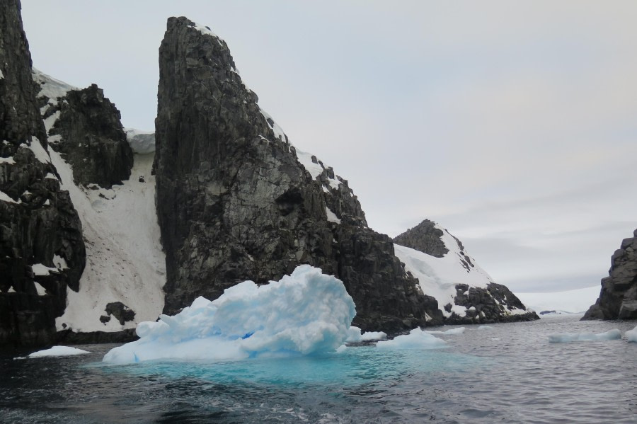 PLA25-24, Day 9, Spert Island 3 © David McKinley - Oceanwide Expeditions.JPG