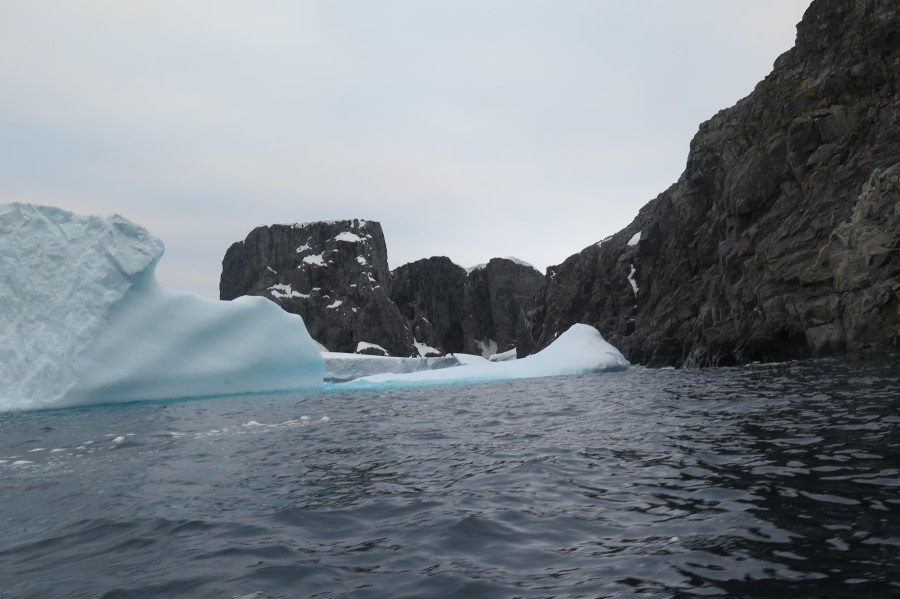 PLA25-24, Day 9, Spert Island 15 © David McKinley - Oceanwide Expeditions.JPG