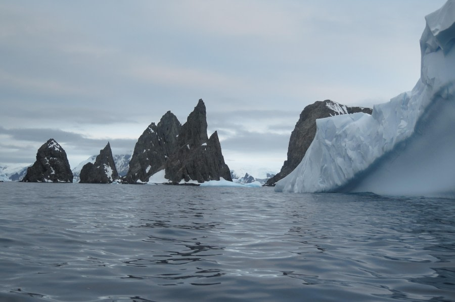 PLA25-24, Day 9, Spert Island 20 © David McKinley - Oceanwide Expeditions.JPG