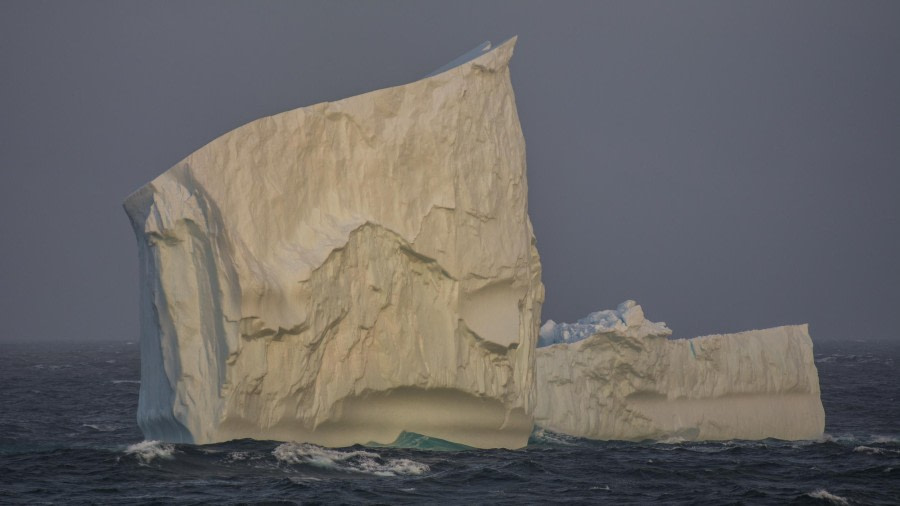 PLA25-24, Day 3, Iceberg © Unknown photographer - Oceanwide Expeditions.jpg