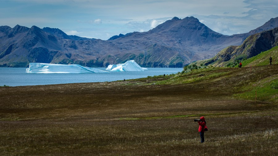 HDS26-24, Day 9, LYR_1827 © Alexander Romanovskiy - Oceanwide Expeditions.jpg