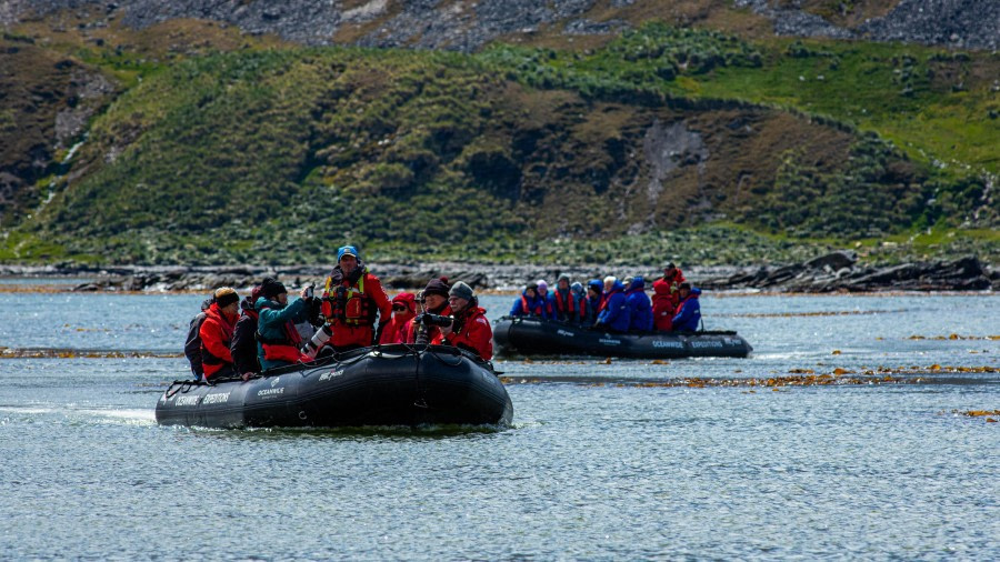 HDS26-24, Day 9, LYR_1882 © Alexander Romanovskiy - Oceanwide Expeditions.jpg