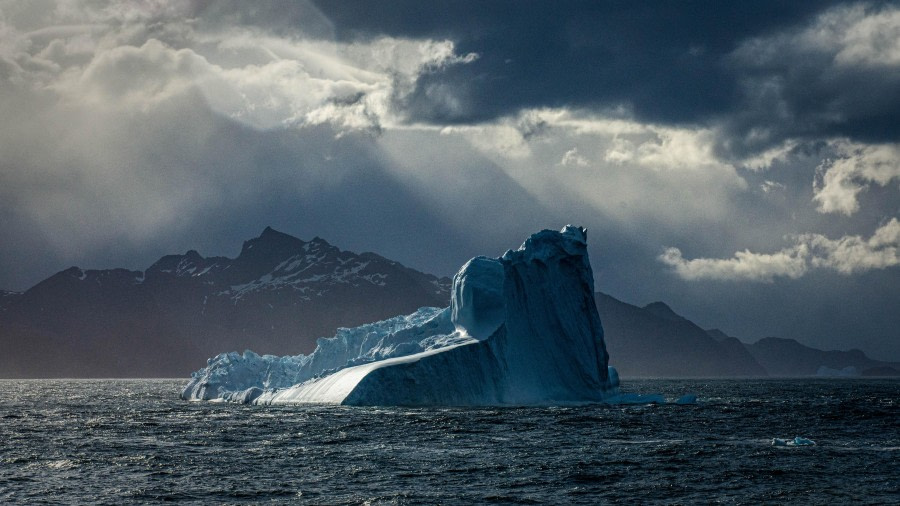 HDS26-24, Day 9, LYR_1969 © Alexander Romanovskiy - Oceanwide Expeditions.jpg