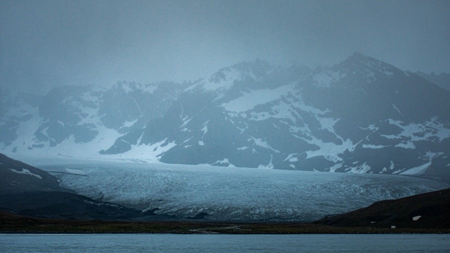 HDS26-24, Day 9, LYR_1974 © Alexander Romanovskiy - Oceanwide Expeditions.jpg