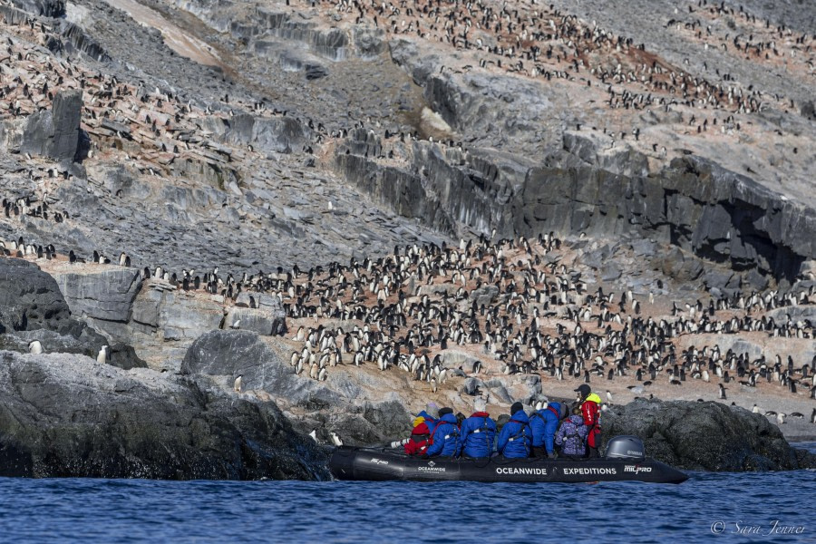 HDS26-24, Day 13, Gourdin Island 1 © Sara Jenner - Oceanwide Expeditions.jpg