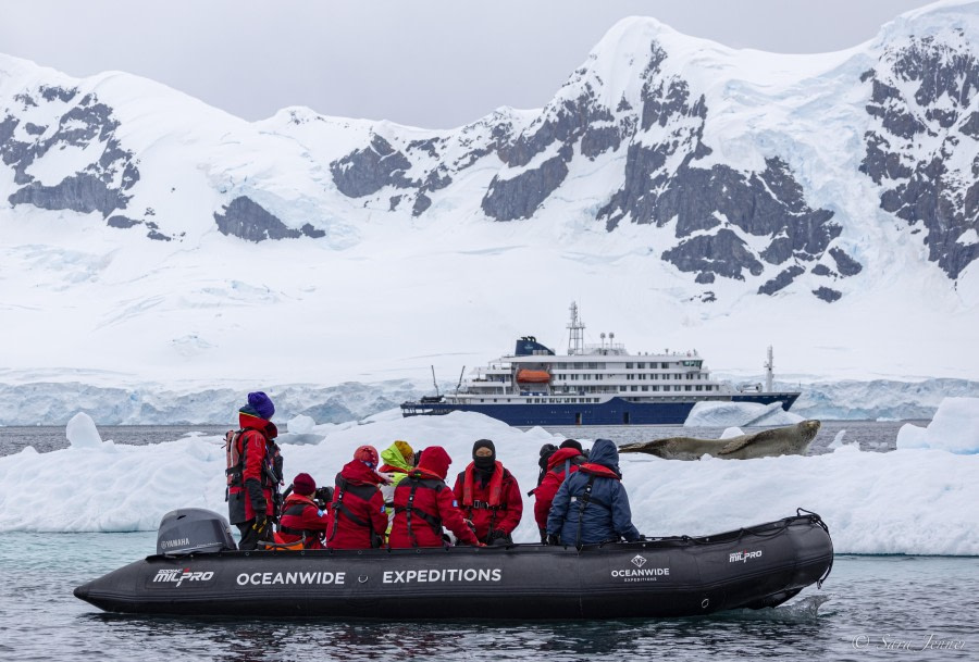 HDS26-24, Day 14, Leopard Seal 1 © Sara Jenner - Oceanwide Expeditions.jpg