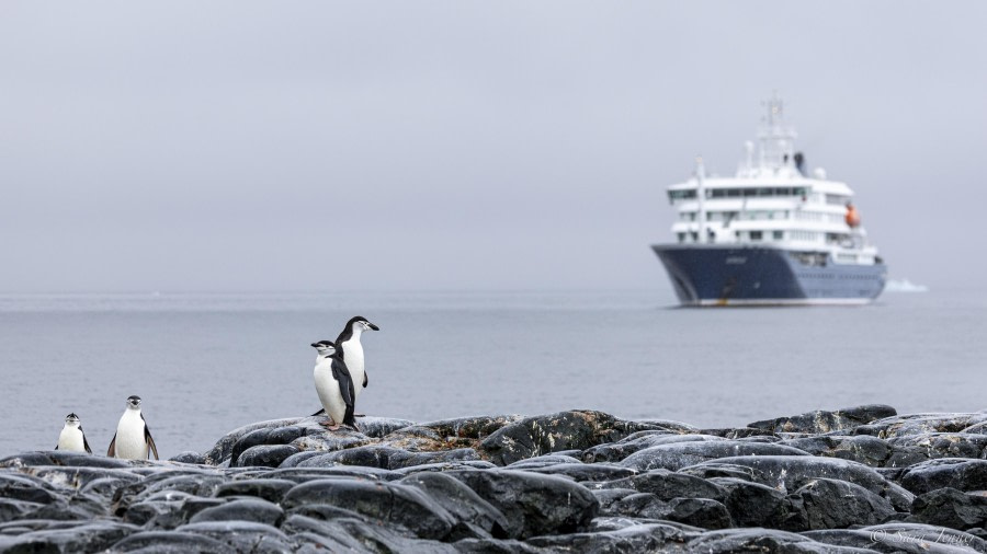 HDS26-24, Day 16, Palaver Point 4 © Sara Jenner - Oceanwide Expeditions.jpg