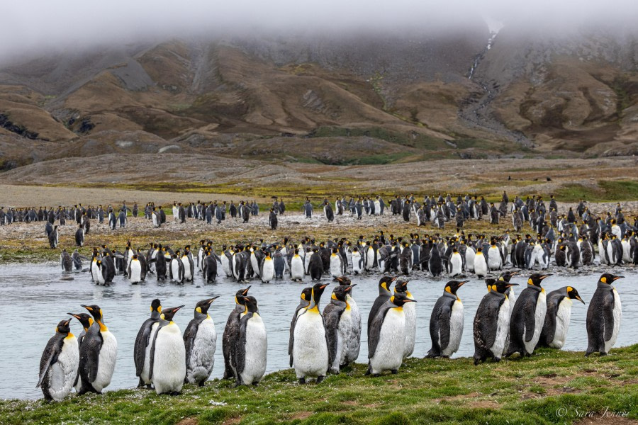 HDS26-24, Day 7, Fortuna 2 © Sara Jenner - Oceanwide Expeditions.jpg