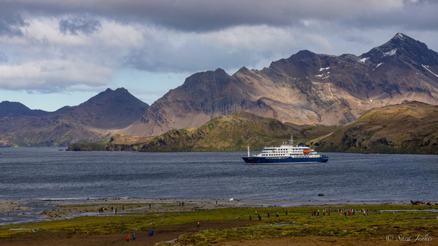 HDS26-24, Day 8, Stromness 1 © Sara Jenner - Oceanwide Expeditions.jpg