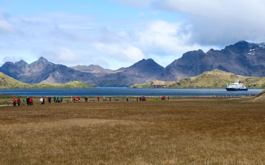 HDS26-24, Day 8, Stromness_FelicityJ-5 © Felicity Johnson - Oceanwide Expeditions.jpg