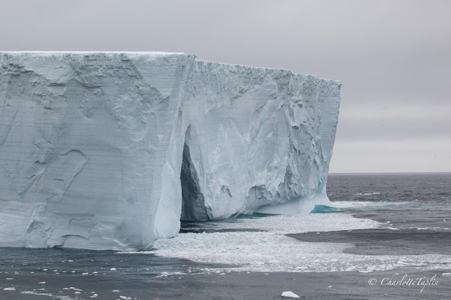 At Sea towards Antarctica