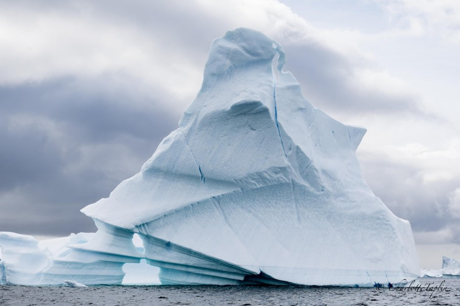 OTL27-24, Day 7, Iceberg @  Charlotte Taplin - Oceanwide Expeditions.jpg